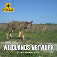 Wildlands Network with Ron Sutherland
