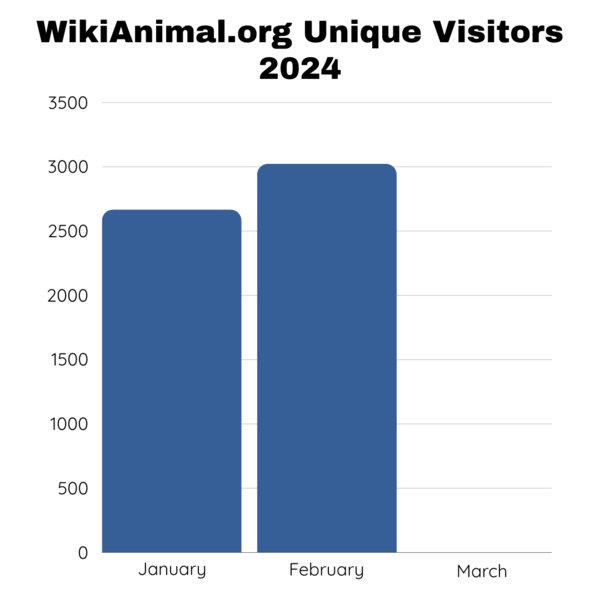 File:Visitor stats feb 2024.png