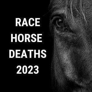 Horse racing deaths 2023
