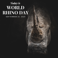 World Rhino Day