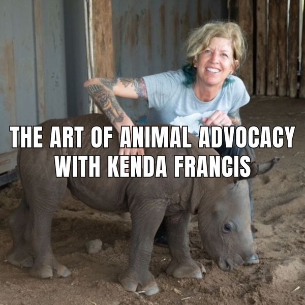 File:Art of advocacy.jpg